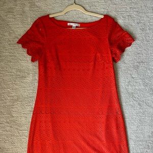 Maggy London Short sleeve orange lace straight dress